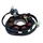 IGNITION STATOR FOR KYMCO 125-150 PEOPLE 1999>2013 / MALAGUTI 125 CIAK 1999>2005  (8 POLES)  -SELECTION P2R-
