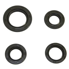 OIL SEAL (FULL SET) FOR CHINESE 50 CC 4 STROKE- GY6, 139QMB/PEUGEOT 50 KISBEE, V-CLIC 4STROKE/SYM 50 ORBIT 4STROKE/BAOTIAN 50 BT49QT 4STROKE/KYMCO 50 AGILITY 4STROKE ( 4 ITEMS)  -SELECTION P2R-