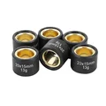 GALET/ROULEAU MAXISCOOTER MAGNETI MARELLI 20x15 13,0g (x6)  POUR HONDA 125 FORZA, PCX, SH, PANTHEON, S-WING/KYMCO 125 DINK, GRAND-DINK (OEM: 21650-21F20-000)