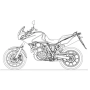 Pegaso Strada-Trail 650 IE 2005-2009