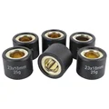 GALET/ROULEAU MAXISCOOTER MAGNETI MARELLI 23x18  25,0g  (x6)  POUR HONDA 250 FORZA, 300 SH/KYMCO 250 GRAND DINK, 250 KXR/QUADRO D-S/YAMAHA 300 XMAX