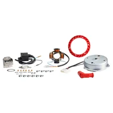 ALLUMAGE CYCLO MALOSSI POWER POUR PIAGGIO 50 CIAO (ROTOR EXTERNE 12V) (MONTAGE UNIQUEMENT SUR MODELE AVEC ALLUMAGE ELECTRONIQUE) -5517192