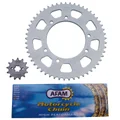 CHAIN AND SPROCKET KIT FOR DERBI 50 SENDA 2000>2001  420  13x53 (BORE Ø 105mm) (OEM SPECIFICATION)  -AFAM-