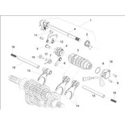 Boîte de vitesses / Selecteur / Desmodromique