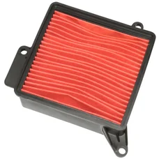 AIR FILTER FOR MAXISCOOTER KYMCO 125 MOVIE 2001>2010, AGILITY 12 POUCES 2006>2011, HEROISM 1995>1997  -HIFLOFILTRO HFA5002-