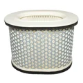 AIR FILTER FOR MOTORBIKE YAMAHA 1000 FZR EXUP 1989>1995, YZF R1 THUNDER ACE 1996>2002  -HIFLOFILTRO HFA4902-