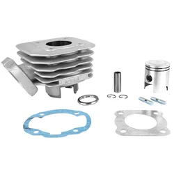 CYLINDRE SCOOT ADAPTABLE PEUGEOT 50 TKR, TREKKER, SPEEDFIGHT AIR, VIVACITY, BUXY, SQUAB, ZENITH, ELYSEO, ELYSTAR -ALU NIKASIL AIRSAL