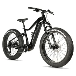 VELO ELECTRIQUE/VAE VTT FAT BIKE 26 LEADER FOX BRAGA 2024 NOIR 9V MOTEUR CENTRAL BAFANG M510 36V 95Nm BATTERIE 23,2Ah (20'' - H47cm - TAILLE L - POUR ADULTE DE 178cm à 185cm)