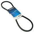 COURROIE CYCLO ADAPTABLE PIAGGIO 50 CIAO PX SANS VARIATEUR (955 x 9,5)  -DAYCO POWER-