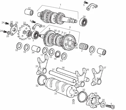 Mandrin roul. arb.prim.D-sec.G