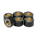 GALET/ROULEAU MAXISCOOTER MALOSSI 20x12 12,0g (x6)  POUR YAMAHA 125 XMAX, MAJESTY / MBK 125 SKYCRUISER, SKYLINER (6611156TH)