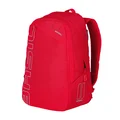 SINGLE BAG FOR BICYCLE -REAR-TURN INTO BACKPACK- BASIL FLEX- RED 17Lt - HOOKS ON CARRIER