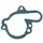 GASKET FOR WATER PUMP FOR MINARELLI 50 AM6/MBK 50 X-POWER/YAMAHA 50 TZR/PEUGEOT 50 XPS/RIEJU 50 RS1/APRILIA 50 RS (SOLD PER UNIT) -ARTEIN