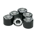 GALET/ROULEAU SCOOT MALOSSI 19x15,5  4,0g (x6)  POUR PIAGGIO 50 ZIP 2T ET 4T 2000>, TYPHOON 1999>, LIBERTY 2T ET 4T, NRG, VESPA LX 2T ET 4T/GILERA 50 STALKER, RUNNER, DNA, ICE (669420Y0)