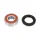 WHEEL BEARING + SEAL - TPI for PIAGGIO 50 TYPHOON , NRG (KIT 6204 2RS).