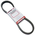 BELT FOR MAXISCOOTER KYMCO 300 XCITING 2008> (OEM 123195) (1001 x 24 x 11)  -MITSUBOSHI-