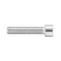 ALLEN SCREW M10 x 12 mm CHROME (10 IN A BAG).  -SELECTION P2R-