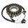 IGNITION STATOR FOR MAXISCOOTER YAMAHA 125 XMAX/MBK 125 SKYCRUISER (18 POLES)  -SELECTION P2R-