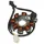 IGNITION STATOR FOR SCOOT PEUGEOT 50 SPEEDFIGHT, VIVACITY 2STROKE (8 POLES)  -SELECTION P2R-