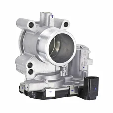 CM310901 - RIDE BY WIRE INTEGRATED UNIT (RIU)