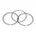 1A019531 - SCRAPER RING STANDARD
