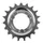 PIGNON NEXUS SHIMANO 19D. (MONTAGE ATELIER)