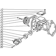Pompe-engr. distribution