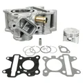 CYLINDER FOR SCOOT MBK 50 NITRO, MACH G/YAMAHA 50 AEROX, JOG R/MALAGUTI 50 F12, F15 L.C./APRILIA 50 SR L.C.  - CAST IRON OLYMPIA-