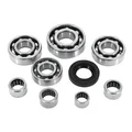 GEARBOX BEARINGS + NEEDLE ROLLERS - FULL SET FOR MINARELLI 50 AM6/BETA 50 RR/RIEJU 50 MRT/SHERCO 50 SE-R/MBK 50 X-POWER/YAMAHA 50 TZR/PEUGEOT 50 XPS (Bearings/cages RSM) P2R-ZKL