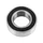 ROULEMENT BLACKBEARING B3 10x19-8mm (3800 2rs)