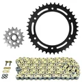 CHAIN AND SPROCKET KIT FOR BMW 310 G R 2016>2020, G GS 2016>2020  (OEM SPECIFICATION)  -AFAM-
