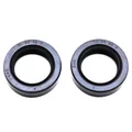 OIL SEAL FOR CRANKSHAFT FOR SCOOT PEUGEOT 50 LUDIX, JET FORCE, SEEDFIGHT_3 (PAIR)  -SELECTION P2R-