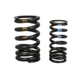 INLET VALVE SPRING KIT  "PIAGGIO GENUINE PART" APRILIA 1000-1100 RSV-4  -1A008432-