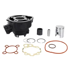 CYLINDRE 50 A BOITE ADAPTABLE MINARELLI 50 AM6 2000>/MBK 50 X-POWER, X-LIMIT/YAMAHA 50 TZR, DTR/PEUGEOT 50 XPS/RIEJU 50 RS1/BETA 50 RR/APRILIA 50 RS 2000>2005  -P2R FONTE PREMIUM-