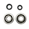 BEARING FOR CRANKSHAFT+SEALS FOR SCOOT P2R FOR PEUGEOT 50 TKR, TREKKER, SPEEDFIGHT, VIVACITY, BUXY, SQUAB, ZENITH, ELYSEO (KIT SC04A47CS TPI POLYAMID CASE)