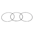 1A004482 - SEGMENT RACLEUR D'HUILE