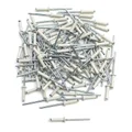 RIVET FOR LICENSE PLATE 4x16 WHITE (SOLD PER 100)