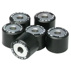 GALET/ROULEAU MAXISCOOTER MALOSSI 20x17  8,0g (x6)  POUR PEUGEOT 125 SATELIS + POUR VARIATEUR MULTIVAR YAMAHA 125 XMAX/MBK 125 SKYCRUISER, SKYLINER (6611095SD)