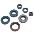 JOINT SPI MOTEUR 50 A BOITE ADAPTABLE MINARELLI 50 AM6/MBK 50 X-LIMIT, X-POWER/YAMAHA 50 DTR, TZR/PEUGEOT 50 XPS, XR6/RIEJU 50 RS1, SMX/BETA 50 RR/APRILIA 50 RS, RX (KIT)  -TOP PERF TYPE ORIGINE-