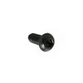 00008061500 - VIS A TETE RONDE 6M100X16