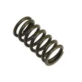SPRING FOR CLUTCH FOR 50CC MOTORBIKE MINARELLI 50 AM6/MBK 50 X-POWER, X-LIMIT/YAMAHA 50 TZR, DTR/PEUGEOT 50 XPS, XR6/RIEJU 50 RS1, SMX/BETA 50 RR/APRILIA 50 RS (SOLD PER UNIT)  -SELECTION P2R-