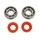 BEARING FOR CRANKSHAFT+SEALS FOR 50CC MOTORBIKE P2R FOR DERBI 50 SENDA, GPR/GILERA 50 SMT, RCR (ENGINE EURO 2 + EURO 3) (KIT 6204 SKF STEEL C4/RACING RED SEAL)