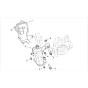 Protection Corps à papillon