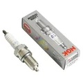 SPARK PLUG NGK IJR8B9 (4873)