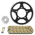 CHAIN AND SPROCKET KIT FOR SUZUKI 650 SV/X 2016>2022, SV SCRAMBLER ABS 2017>2019, SV CAFE RACER ABS 2017>2019  520  15x46  (REAR SPROCKET Ø 87/110/10.5)  (OEM SPECIFICATIONS)  -AFAM-