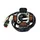 STATOR ALLUMAGE 50 A BOITE ADAPTABLE BETA 50 RR 2005>2012 (OEM 28.97810.000)  -P2R-