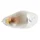 CLIGNOTANT SCOOT ADAPTABLE PIAGGIO 50 NRG 2006>/TYPHOON 2005>2009 AV DROIT TRANSPARENT (HOMOLOGUE CE)  -SELECTION P2R-