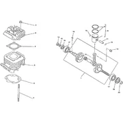 Arbre moteur - cylindre