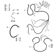 Faisceau de cables principal