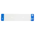 PLASTIC STRIP FOR BLANK PVC LICENSE PLATE (CAR FORMAT 520X110)-DEPT 01/EUROPE (SOLD PER UNIT)